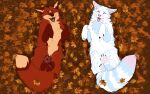  absurd_res arctic_fox autumn canid canine domestic_cat duo faxby felid feline felis feral fox hi_res hybrid leaf love male male/male mammal outside skullsbesan tabby_cat tanos zax 