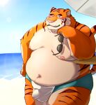  2021 anthro beach belly blush clothing eyewear felid genitals humanoid_hands kemono male mammal moobs navel nipples o_miso_n outside overweight overweight_male pantherine penis pink_nose seaside solo sunglasses swimwear tiger water 