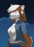  anthro belt canid canine clothed clothing cloud female fox freckles hi_res mammal night painted short_jacket silverbunny solo 
