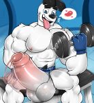  absurd_res anthro balls big_balls big_penis briefs canid canine canis clothing domestic_dog dudley_puppy dumbbell erection exercise genitals gym hi_res huge_balls huge_penis humanoid_genitalia humanoid_penis hyper hyper_balls hyper_genitalia hyper_penis jockstrap male mammal muscular muscular_anthro muscular_male nickelodeon penis solo t.u.f.f._puppy tsukielewds underwear weightlifting weights workout 