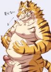  2021 anthro balls belly erection felid genitals humanoid_genitalia humanoid_hands humanoid_penis japanese_text kemono male mammal moobs nipples overweight overweight_male pantherine penis solo text tiger toraya_inugami 