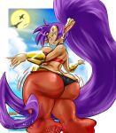  belly_dancer big_breasts big_butt breasts butt female genie hair hi_res huge_butt humanoid humanoid_pointy_ears not_furry purple_hair rchammer shaking_butt shantae shantae_(series) solo video_games wayforward 