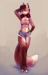  2018 3_toes anthro bandeau barefoot bottomwear brown_body brown_fur canid canine clothing conditional_dnp digital_media_(artwork) elijah-draws feet female fox full-length_portrait fur hi_res light lighting looking_at_viewer mammal midriff portrait shaded shorts solo standing toes topwear 