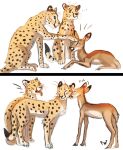  2021 ^_^ blush cervid cheetah digital_media_(artwork) dipstick_tail eyes_closed felid feline feral flashw group hooves inner_ear_fluff mammal markings multicolored_tail open_mouth paws simple_background smile tail_markings teeth tongue trio tuft whiskers white_background 