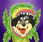  absurd_res anthro audrey_ii canid canine canis cosplay disguise halloween halloween_costume hi_res holidays little_shop_of_horrors male mammal maws open_mouth plant solo wolf zooshi 