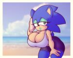  5:4 anthro beach big_breasts blue_body blue_fur blue_hair breasts cleavage clothed clothing crossgender eulipotyphlan female fur hair hedgehog mammal mtf_crossgender seaside sega solo sonic_the_hedgehog sonic_the_hedgehog_(series) stunnerpony 