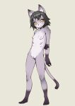  2021 6_breasts 6_nipples anthro big_eyes biped black_hair blush breasts countershade_fur countershading dipstick_tail domestic_cat feet felid feline felis female full-length_portrait fur genitals gloves_(marking) gradient_background grey_body grey_fur hair hi_res inner_ear_fluff j7w leg_markings mammal markings multi_breast multi_nipple multicolored_tail nipples nude peach_pussy portrait pupils pussy rorikemo short_hair simple_background slit_pupils small_breasts smile socks_(marking) solo standing tail_markings tuft yellow_eyes young 