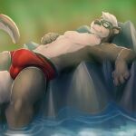  1:1 2021 anthro boxer_briefs bulge clothed clothing digital_media_(artwork) eyes_closed eyewear glasses hi_res lutrine lying male mammal mosin_(character) mustelid on_back red_clothing sleeping smile solo topless topless_male underwear vodcat water 