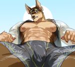  abs anthro bottomwear bulge canid canine canis clothed clothing dobermann domestic_dog eyewear genital_outline goggles hi_res lifewonders looking_at_viewer maiyabuhantang male mammal nipples open_clothing open_shirt open_topwear pecs penis_outline pinscher shirt shorts solo spread_legs spreading swimwear tokyo_afterschool_summoners topwear video_games xolotl 