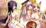  absurdres alcohol amakura animal_ears bath black_hair blonde_hair breasts cherry_blossoms fox_ears fox_tail green_eyes groin hair_over_one_eye highres large_breasts mikage_(toppara) multiple_girls multiple_tails nipples nude onsen petals purple_eyes red_eyes sachiko_(toppara) sake silver_hair tail toppara touka_(toppara) towel 