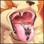  2021 4_toes ahegao ambiguous/ambiguous ambiguous_form ambiguous_gender ambiguous_pred ambiguous_prey arcanine aura back_tuft big_tongue black_body black_border black_fur black_markings black_nose black_paws blush bodily_fluids body_in_mouth border breath brown_eyes bust_portrait butt_tuft canid canine cheek_tuft chin_tuft colored detailed digital_drawing_(artwork) digital_media_(artwork) dripping drooling duo ear_tuft english_text facial_markings facial_tuft fangs feet feral feral_prey fire fluffy fluffy_chest fluffy_tail front_view fur fur_markings fur_tuft gaping_mouth glistening glistening_tongue glowing glowing_body glowing_fur grey_body grey_fur grey_text half-closed_eyes head_markings head_tuft headshot_portrait heat_(temperature) hyaenid imminent_vore in_mouth inner_ear_fluff interspecies larger_ambiguous larger_pred looking_at_another looking_away looking_down looking_pleasured lying macro macro_pred mammal mane markings micro micro_abuse micro_in_mouth micro_on_macro micro_prey mouth_play mouth_shot multicolored_body multicolored_fur narrowed_eyes neck_tuft nintendo nude on_front on_tongue open_mouth oral oral_vore orange_background orange_body orange_fur panting paws pink_tongue pok&eacute;mon pok&eacute;mon_(species) poochyena portrait quadruped red_eyes s2-freak saliva saliva_drip saliva_string shaded simple_background size_difference size_play smaller_ambiguous smaller_feral smaller_prey smile soft_vore steam symbol tan_body tan_fur tan_inner_ear tan_inner_ear_fluff teeth text three-quarter_view toes tongue tongue_out tounge_fetish tuft two_tone_body two_tone_fur video_games vore warm_colors warmth watermark wet willing_prey willing_vore yellow_body yellow_fur yellow_inner_ear yellow_inner_ear_fluff yellow_sclera 