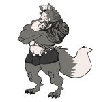  absurd_res anthro bulge canid canine canis clothed clothing crossed_arms darknaigart fur grey_body grey_fur hi_res male mammal muscular muscular_anthro muscular_male overly_muscular simple_background solo standing tattoo topless underwear white_background wolf 