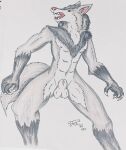  2021 abs animal_genitalia anthro athletic athletic_anthro athletic_male balls biceps canid canine canis casual_nudity claws countershading finger_claws fur genitals grey_body grey_fur hi_res male mammal nipples open_mouth pecs penis penis_tip pink_nose pose reynard_(artist) sharp_teeth sheath signature solo teeth tongue traditional_media_(artwork) were werecanid werecanine werewolf wolf yellow_eyes 