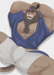  abs absurd_res anthro asian_clothing blush bottomwear brown_body brown_fur brown_hair bulge claws clothed clothing east_asian_clothing felid fur hair hi_res japanese_clothing kimono kisaragi_syoo lifewonders lion live-a-hero male mammal mane mane_hair muscular muscular_anthro muscular_male open_clothing open_kimono pantherine pawpads pecs scar shorts solo spread_legs spreading toshu video_games 