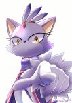  2021 absurd_res anthro blaze_the_cat breasts clothed clothing domestic_cat eyelashes felid feline felis female forehead_gem frown fur gesture gloves handwear hi_res looking_at_viewer mammal pointing pointing_at_viewer purple_body purple_fur sega solo sonic_the_hedgehog_(series) watagashikn yellow_eyes 
