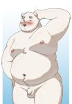  2021 anthro balls belly blush flaccid fur genitals hi_res humanoid_genitalia humanoid_penis kemono male mammal maron2475 moobs navel nipples overweight overweight_male penis polar_bear shirane_kan simple_background solo ursid ursine utau white_body white_fur 