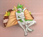  abs anthro black_nose bolyasnyy canid canine cheese dairy_products digital_media_(artwork) featureless_chest featureless_crotch fidget_the_fox food fox fur green_body green_eyes green_fur hair lettuce male mammal meat plant simple_background smile solo sour_cream taco vegetable white_body white_fur 