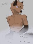  3:4 anthro brown_body brown_fur canid canine canis digital_drawing_(artwork) digital_media_(artwork) fur hi_res kees keesthewolf looking_at_viewer male mammal multicolored_body multicolored_fur nude portrait shaded shower signature simple_background sketch solo steam wolf 