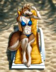  2021 anthro beach_chair beach_towel bikini blue_collar blue_eyes canid canine canis clothed clothing collar detailed detailed_background digital_drawing_(artwork) digital_media_(artwork) domestic_dog elodie_(ortaon) female fingers fur husky kippycube light lighting looking_away mammal nordic_sled_dog orange_body orange_fur outside sand seaside shadow smile solo spitz swimwear towel whiskers white_body white_fur 