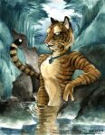  1998 amara_telgemeier amulet anthro felid fur male mammal orange_body orange_fur pantherine reflection solo stripes tiger water 