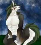  abs absurd_res anthro bare_chest bare_shoulders blue_eyes canid canine canis cassielink digital_drawing_(artwork) digital_media_(artwork) evening fluffy fluffy_tail fur grass hi_res link_(wolf_form) male mammal midriff muscular night nintendo paws plant shirtless sketch sky solo star starry_sky the_legend_of_zelda video_games wolf 