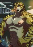  abs canid canine canis cigar cigar_in_mouth duo ear_piercing ear_ring felid fur grey_body grey_fur hand_on_head hi_res male male/male mammal muscular muscular_male nipples oral pantherine pecs piercing ron9 smoke smoking stripes tiger wolf yellow_body yellow_fur 