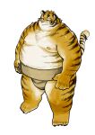  2016 absurd_res anthro belly felid fur hi_res kemono kita_9999 male mammal moobs nipples overweight overweight_male pantherine simple_background solo sumo tiger white_background yellow_body yellow_fur 