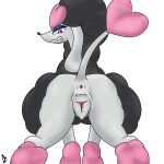  1:1 alexzozaya animal_genitalia animal_pussy anus butt canine_pussy female feral furfrou genitals heart_trim_furfrou hi_res looking_at_viewer nintendo pok&eacute;mon pok&eacute;mon_(species) pussy raised_tail rear_view shiny_pok&eacute;mon solo video_games 