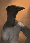  2021 anthro avian beak bird digital_media_(artwork) looking_at_viewer male orange_eyes shwonky simple_background solo 
