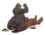  2021 absurd_res anthro belly black_body black_fur brown_body brown_fur butt duo erection facesitting fur genitals hi_res humanoid_genitalia humanoid_hands humanoid_penis jumperbear kemono lying male male/male mammal mask overweight overweight_male penis simple_background ursid white_background 