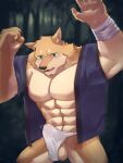  abs anthro balls biceps canid canine clothed clothing countershade_torso countershading digital_media_(artwork) erection erection_under_clothing fur genitals green_eyes hi_res kemono kenjilokung male mammal multicolored_body multicolored_fur muscular muscular_anthro muscular_male pecs shaded solo tenting 