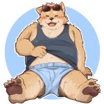  1:1 2021 4_fingers 4_toes anthro arm_support arm_tuft barefoot biped black_clothing black_nose black_shirt black_tank_top black_topwear blue_clothing blue_underwear blush boxers_(clothing) brown_body brown_fur brown_pawpads canid canine canis cheek_tuft chest_tuft claws clothed clothing clothing_lift countershade_arms countershade_face countershade_legs countershade_torso countershading cute_fangs domestic_dog eyes_closed eyewear eyewear_on_head facial_tuft feet fingers front_view fur gen_fd happy head_tuft hi_res humanoid_hands inner_ear_fluff kemono looking_at_viewer male mammal navel one_ear_up open_mouth open_smile outline pawpads pink_tongue red_eyewear red_sunglasses shirt shirt_lift shoulder_tuft simple_background sitting slightly_chubby smile spread_legs spreading sunglasses sunglasses_on_head tan_body tan_ears tan_fur tan_tuft tank_top toe_claws toes tongue topwear tuft underwear white_body white_claws white_countershading white_fur white_toe_claws 
