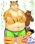  2011 anthro belly blush brown_body brown_fur bulge clothing duo eyes_closed felid fur humanoid_hands iwano japanese_text kemono male mammal navel overweight overweight_male pantherine pink_nose suid suina sus_(pig) text tiger underwear underwear_festival wild_boar 