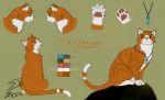  2016 ambiguous_gender character_name claws collar countershade_face countershade_fur countershade_neck countershade_torso countershading crystal digital_drawing_(artwork) digital_media_(artwork) domestic_cat eyebrows fan_character felid feline felis feral fur jewelry mammal model_sheet necklace orange_body orange_fur pawpads paws signature sitting smile snake_teeth snaketeeth12 solo striped_body striped_fur stripes warriors_(cats) white_body white_countershading white_fur 