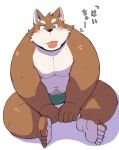  2016 anthro ayame42612 belly black_nose blush brown_body brown_fur canid canine canis clothing domestic_dog fur japanese_text kemono male mammal moobs nipples one_eye_closed overweight overweight_male simple_background sitting solo text tongue tongue_out underwear white_background wink 