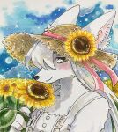  2021 anthro ariari927 blush canid canine canis clothed clothing cloud dress female fingers flat_chested flower fur green_eyes hair hat headgear headwear hi_res kemono long_hair looking_at_viewer mammal pink_ribbon plant sky smile snout solo straw_hat sunflower traditional_media_(artwork) white_body white_clothing white_dress white_fur white_hair wolf 
