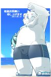  2014 anthro ball balls_outline beach belly blue_eyes blush bulge clothing footwear fur genital_outline hi_res humanoid_hands japanese_text kemono kisukemk777 male mammal navel one_eye_closed outside overweight overweight_male penis_outline polar_bear sandals seaside swimwear text ursid ursine water white_body white_fur wink 