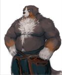  2021 anthro belly bernese_mountain_dog black_body black_nose brown_body canid canine canis domestic_dog fd-caro hi_res humanoid_hands male mammal molosser moobs mountain_dog musclegut navel nipples overweight overweight_male simple_background solo swiss_mountain_dog white_background white_body 