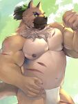  2021 3:4 anthro asian_clothing balls black_nose brown_body bulge canid canine canis clothing cute_fangs domestic_dog east_asian_clothing fundoshi genitals humanoid_hands japanese_clothing kemono lifewonders male mammal musclegut navel nipples salz_sop solo tokyo_afterschool_summoners underwear video_games white_clothing white_fundoshi white_underwear yasuyori 