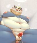  2021 anthro anus balls belly blush bodily_fluids brown_nose erection genital_fluids genitals giant_panda hi_res humanoid_genitalia humanoid_penis kemono male mammal moobs nameko_no_neko navel nipples overweight overweight_male penis precum solo sweat tongue tongue_out ursid white_body 