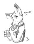  2007 anthro beverage beverage_can clothed clothing dessert dipstick_ears doughnut eating flinters flinters_(character) food greyscale kangaroo looking_at_viewer macropod male mammal marsupial monochrome multicolored_ears open_clothing open_topwear open_vest solo topwear vest 