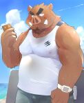  2017 anthro beach belly blush bottomwear brown_body brown_fur cellphone clothing cloud fur hi_res humanoid_hands kemono male mammal outside overweight overweight_male pants phone seaside shiike999 shirt smartphone smoking solo suid suina sus_(pig) topwear water wild_boar 