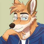  1:1 anthro blue_eyes canid canine canis clothing dingo eyewear fur glasses headshot_portrait hoodie looking_away male mammal portrait server_dingo solo tan_body tan_fur tommysamash topwear 