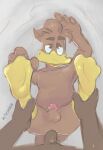  anal anal_penetration anatid anseriform anthro avian balls bird disembodied_penis disney duck ducktales ducktales_(2017) fenton_crackshell first_person_view genitals hi_res male male/male penetration penile penile_penetration penis penis_in_ass rocketshibaa 