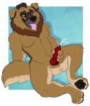  anatomically_correct anatomically_correct_genitalia anatomically_correct_penis animal_genitalia animal_penis anonymous_artist anthro balls bernese_mountain_dog black_nose black_pawpads blush blush_lines bodily_fluids body_hair brown_body brown_fur canid canine canine_penis canis cum digital_media_(artwork) domestic_dog drooling ejaculation erection fur genital_fluids genitals glistening glistening_eyes hand_on_penis happy_trail hobbesdawg knot looking_at_genitalia looking_at_penis looking_down looking_pleasured male mammal masturbation molosser mountain_dog nude orgasm orgasm_face pawpads paws penile penile_masturbation penis reclining saliva saliva_on_tongue shoulder_tuft smile solo swiss_mountain_dog tan_body tan_fur tongue tongue_out tuft yellow_sclera 