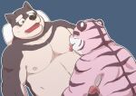  2015 anthro belly black_body black_fur black_nose blue_background blush canid canine canis domestic_dog duo erection felid fur genitals humanoid_genitalia humanoid_penis kemono kick_(artist) licking lying male mammal moobs nipple_fetish nipple_lick nipple_play nipples overweight overweight_male pantherine penis simple_background tiger tongue tongue_out 