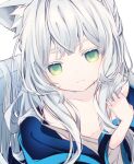  1girl animal_ears arknights blush breasts cat_ears commentary green_eyes grey_hair highres hk_nnm jacket long_hair looking_at_viewer portrait rosmontis_(arknights) simple_background small_breasts smile solo white_background 