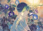  1boy animal_on_shoulder bishounen collared_shirt flower frog from_side green_eyes green_hair hakkaku_hailey light_rays looking_at_viewer male_focus morning_glory original plant shirt short_hair short_sleeves smile trellis water_drop 