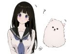  1girl ? bangs black_hair blunt_bangs blush chitanda_eru collarbone dog expressionless eyebrows_visible_through_hair head_tilt hyouka long_hair looking_at_viewer mery_(yangmalgage) motion_lines neckerchief out_of_frame own_hands_together pomeranian_(dog) purple_eyes school_uniform serafuku simple_background solo straight_hair upper_body very_long_hair white_background 