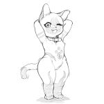  anthro breasts capcom collar dancing featureless_breasts felid felyne female fur fur_markings genitals hands_behind_head hi_res looking_at_viewer lynian mammal markings monster_hunter mostly_nude one_eye_closed palico pussy rapel small_breasts smile solo video_games wide_hips 